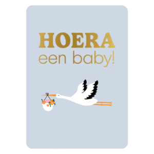 Hoera een baby! | Wenskaart