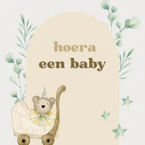 Wenskaart | Hoera een Baby