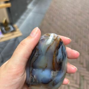 Dendriet