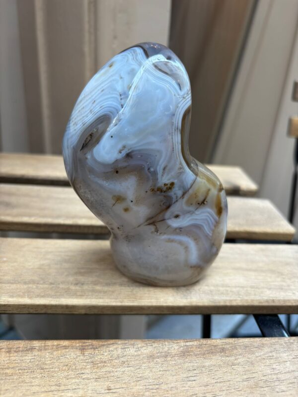 Dendriet - Image 2
