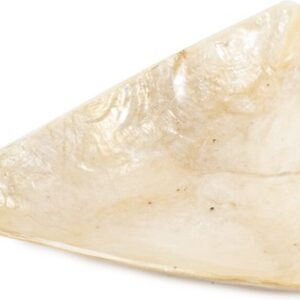 Amberschaaltje driehoek | Schelp