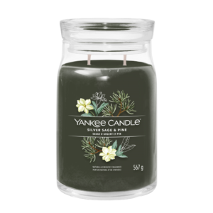 Yankee Candle Silver Sage & Pine