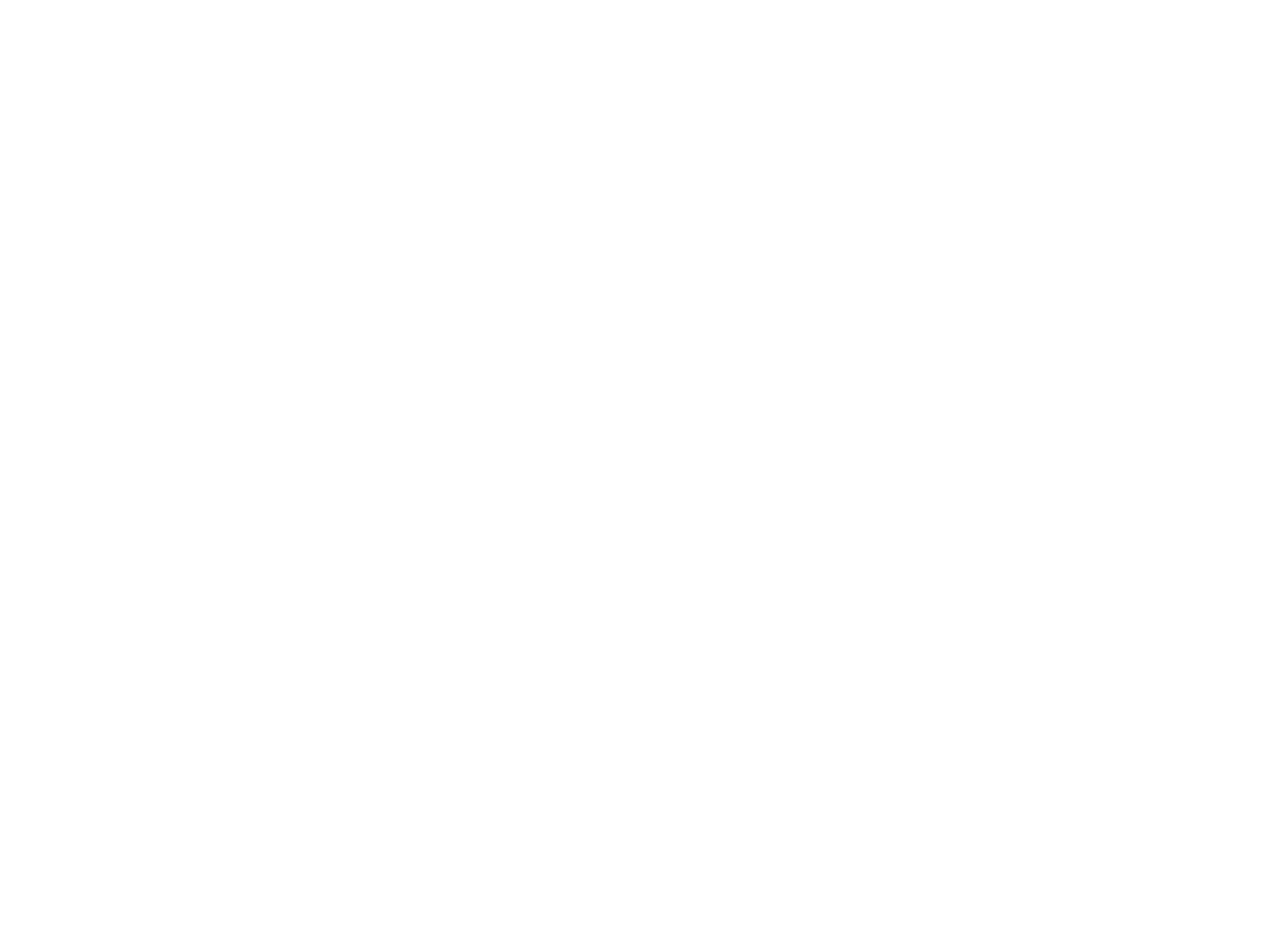 Review_Tekengebied 1 kopie 2