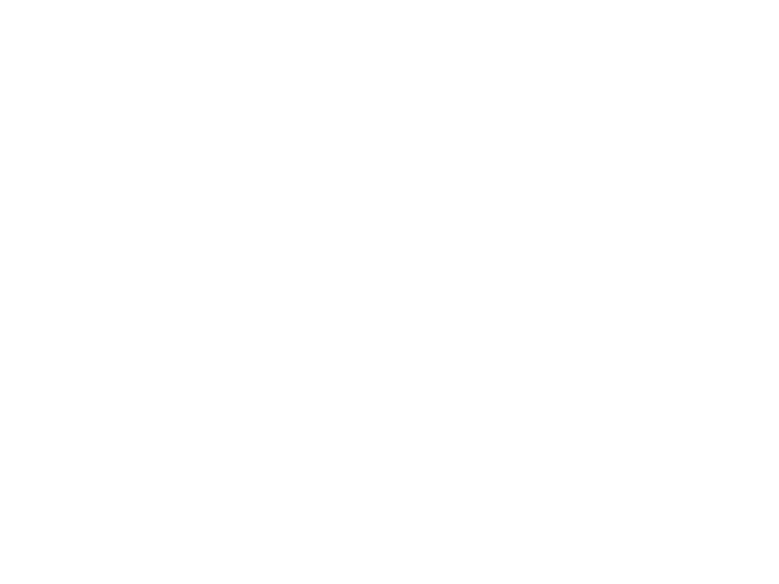 Review_Tekengebied 1 kopie