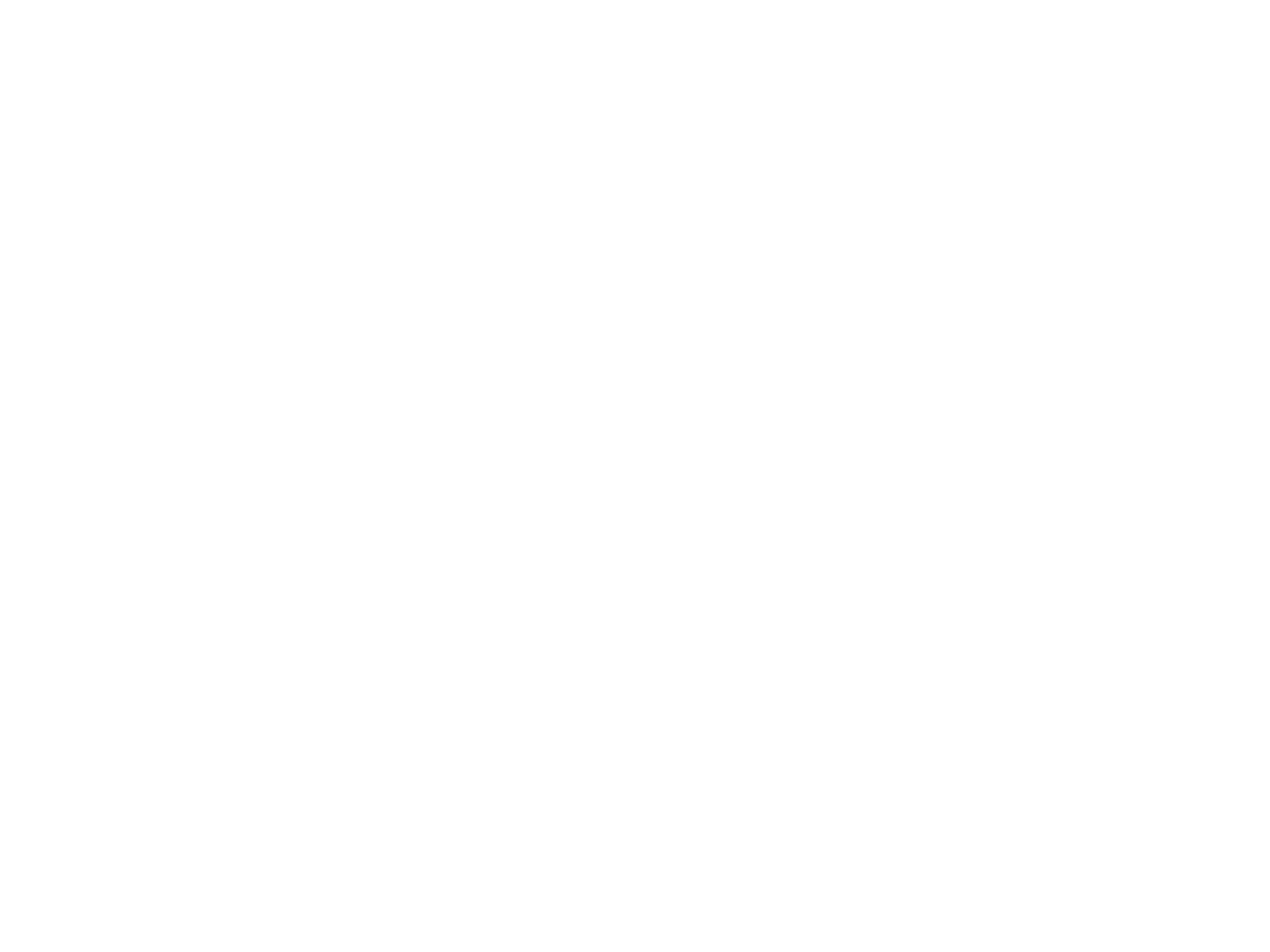 Review_Tekengebied 1